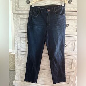 Talbots Dark Blue Denim Straight Leg Jeans (Curvy) Like New